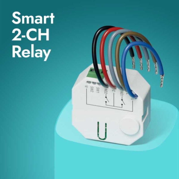 BE WAVE Smart 2-CH Relay Funk-Steuerungsmodul 230V